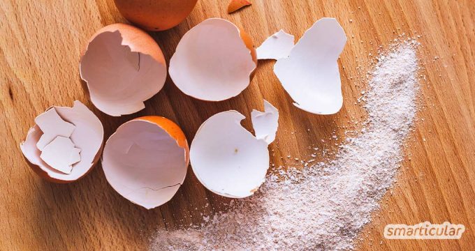 Eierschalen sind ein nützlicher und gesunder Rohstoff, den du im Haushalt, Garten und für deine Gesundheit vielseitig weiterverwenden kannst.