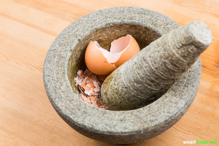 Eierschalen sind ein nützlicher und gesunder Rohstoff, den du im Haushalt, Garten und für deine Gesundheit vielseitig weiterverwenden kannst.