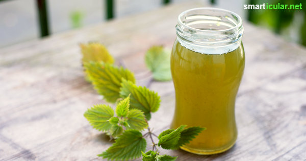 Vergiss chemische Spritzmittel, denn aus Pflanzen kannst du effektive, umweltfreundliche Pflanzenschutzmittel gegen Schädlinge und Krankheiten selber machen.