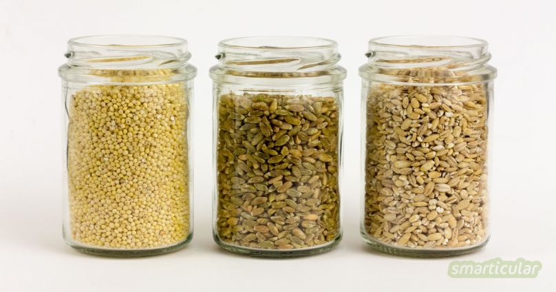 Unser Reis hat eine halbe Weltreise hinter sich, bevor er auf dem Teller landet. Dabei sind die regionalen Alternativen mindestens genauso lecker und auch noch gesünder!