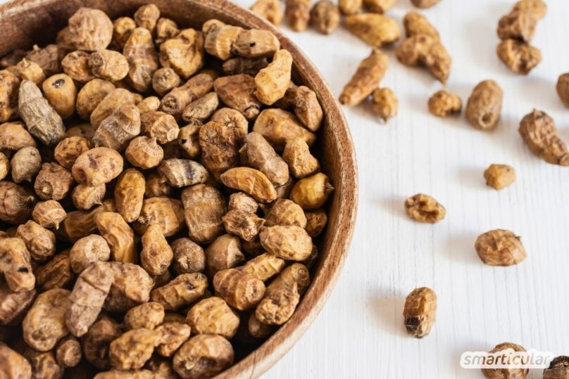 Entdecke die Vielseitigkeit von Erdmandeln! Unser Ratgeber liefert dir alles zu Inhaltsstoffen, Rezepte und Tipps für den eigenen Anbau.