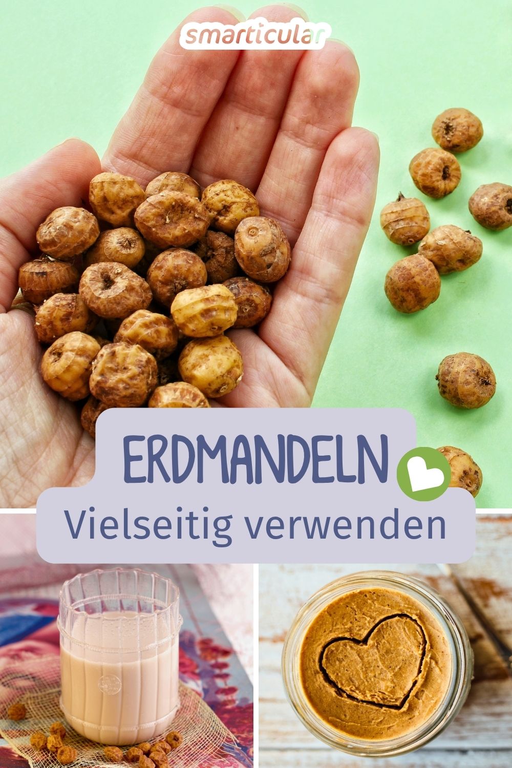 Entdecke die Vielseitigkeit von Erdmandeln! Unser Ratgeber liefert dir alles zu Inhaltsstoffen, Rezepte und Tipps für den eigenen Anbau.