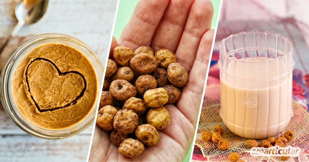 Entdecke die Vielseitigkeit von Erdmandeln! Unser Ratgeber liefert dir alles zu Inhaltsstoffen, Rezepte und Tipps für den eigenen Anbau.