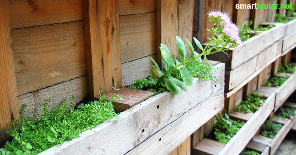Zu wenig Platz auf dem Balkon oder im Garten? Gestapelte Töpfe, Blumenampeln und Pflanzenleitern nutzen die Höhe als vertikaler Garten für mehr Grünfläche.