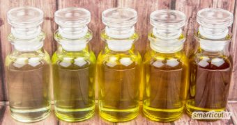 Hochwertige Pflanzenöle sind nicht nur für die Ernährung wichtig, sondern unterstützen auch die natürliche Hautpflege. Geeignete Öle für jeden Hauttyp!