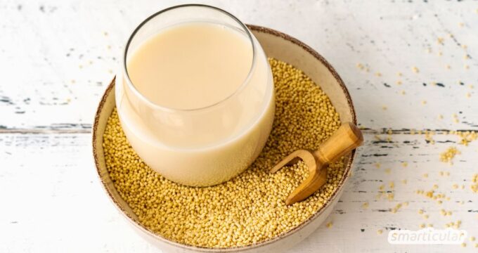 Hirsemilch ist ein laktose- und glutenfreier Pflanzendrink und bietet leckere Abwechslung. Stelle sie mit diesem Rezept einfach selbst her.