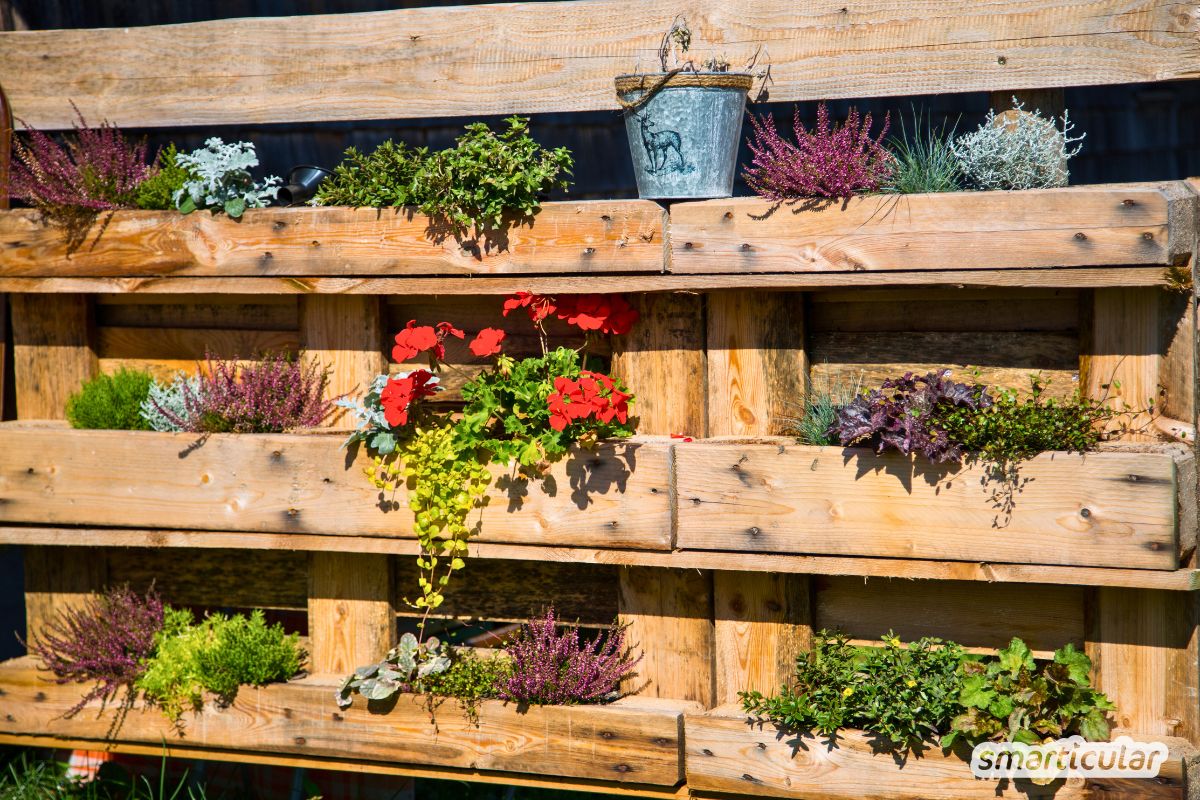 Zu wenig Platz auf dem Balkon oder im Garten? Die Lösung ist vertikales Gärtnern! Mit diesen Techniken und Tricks nutzt du die Fläche optimal.