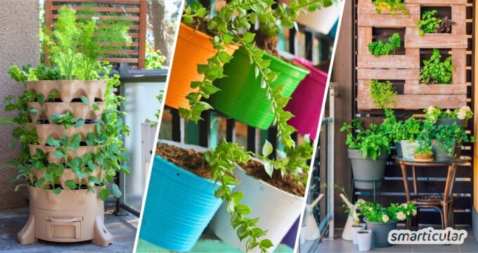Zu wenig Platz auf dem Balkon oder im Garten? Die Lösung ist vertikales Gärtnern! Mit diesen Techniken und Tricks nutzt du die Fläche optimal.