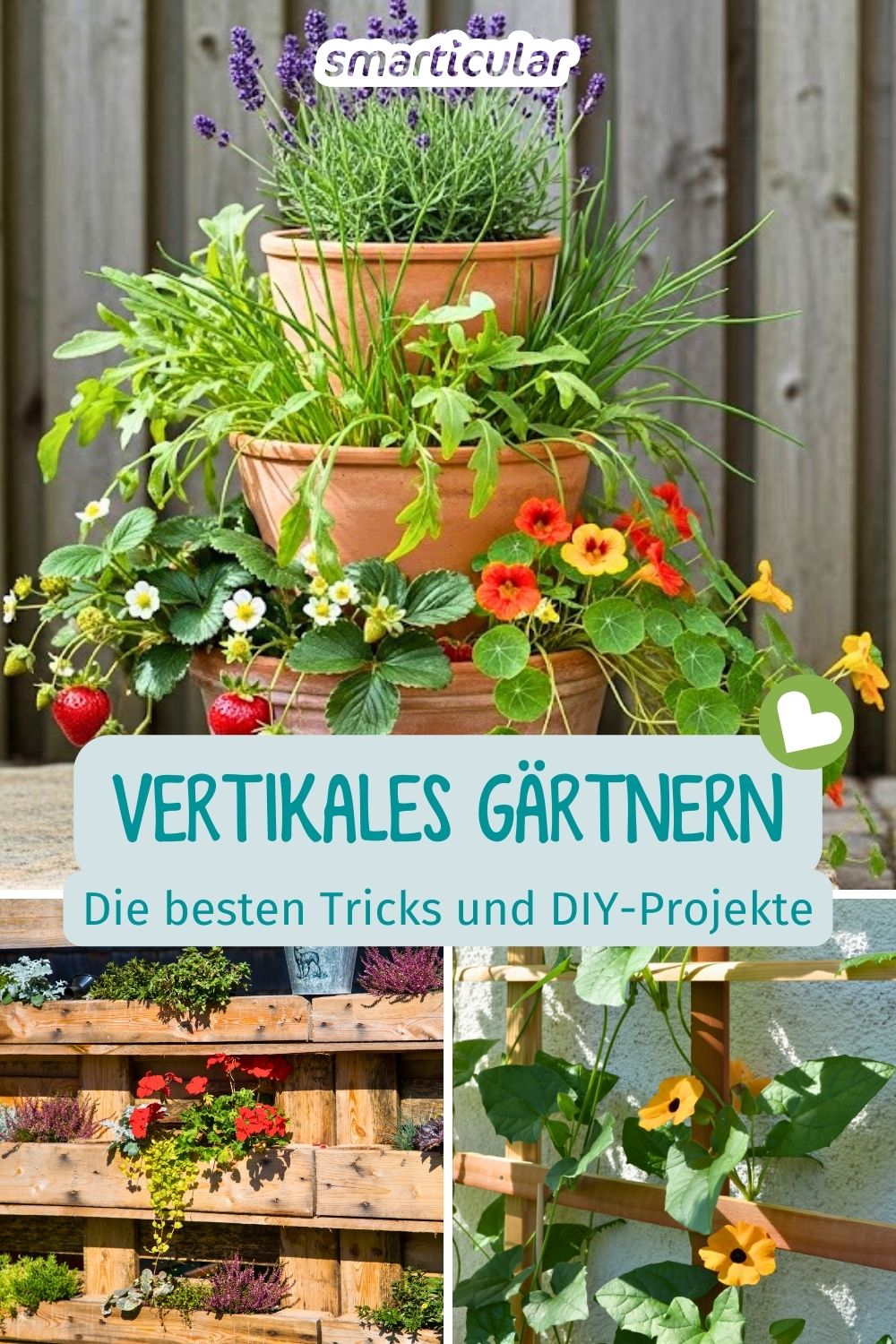 Zu wenig Platz auf dem Balkon oder im Garten? Die Lösung ist vertikales Gärtnern! Mit diesen Techniken und Tricks nutzt du die Fläche optimal.