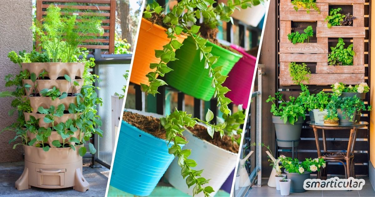 Zu wenig Platz auf dem Balkon oder im Garten? Die Lösung ist vertikales Gärtnern! Mit diesen Techniken und Tricks nutzt du die Fläche optimal.