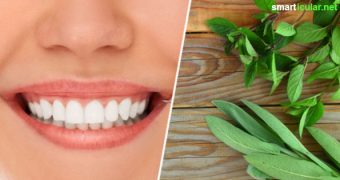 Zahnfleischprobleme sind nicht nur schmerzhaft, sondern können auch zu Folgeschäden an den Zähnen führen. Mit diesen einfachen und natürlichen Tipps bleibt das Zahnfleisch gesund und stark.