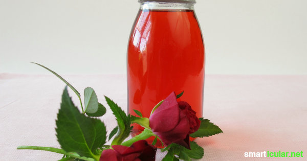 Rosenblütensirup ist eine köstliche Erinnerung an den Sommer. Wie der Sirup für Tee und Süßspeisen zubereitet wird und das ganze Jahr hält, erfährst du hier