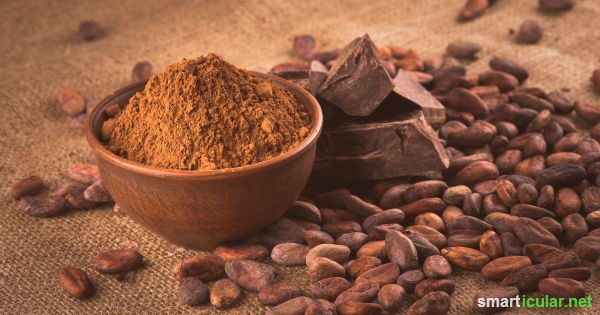 Roher Kakao ist gesund für Herz, Hirn und Nerven und macht glücklich. Mit diesen sieben köstlichen Rohkost-Rezepten kannst du die gesunden Inhaltsstoffe genießen!