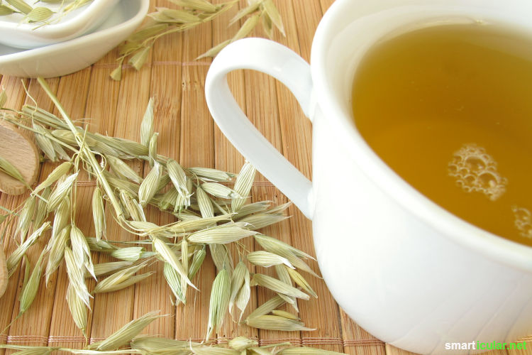 Im grünen Haferkraut stecken besonders viele gesunde, heilkräftige Inhaltsstoffe, die du dir mit einem einfachen Teeaufguss zunutze machen kannst.
