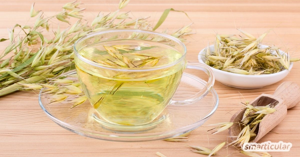 Grüner Hafertee stärkt den Stoffwechsel und die Nerven. Entdecke die heilsame Wirkung von Haferkraut und wie du den Tee richtig zubereitest.