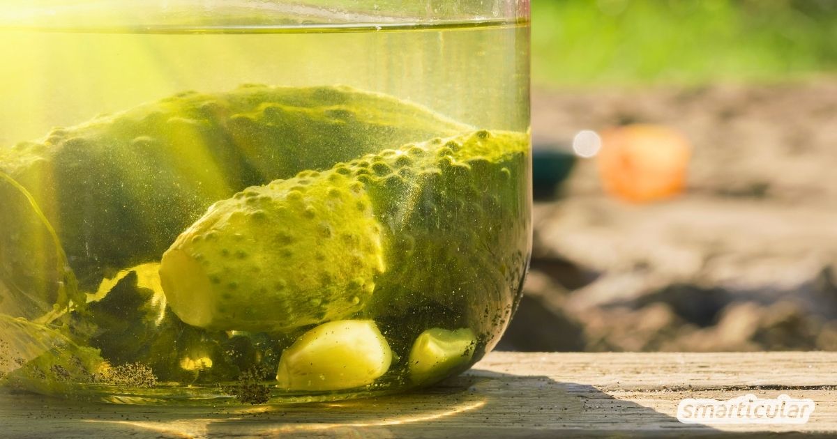 Wenn du das nächste Mal ein Glas Gurken öffnest, dann gieße das Gurkenwasser nicht weg! Du kannst es noch vielfältig verwenden.