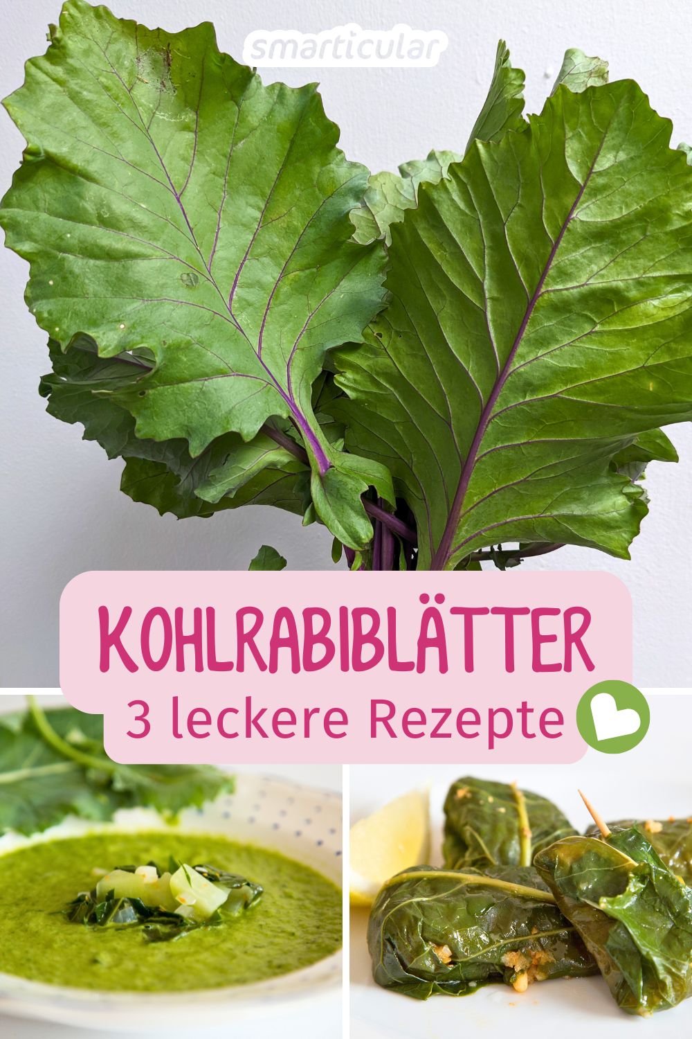 Kohlrabiblätter-Rezepte - lecker zubereiten statt wegwerfen ... Kohlrabiblätter-Rezepte - lecker zubereiten statt wegwerfen ...