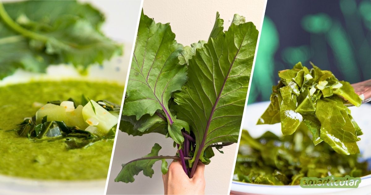 Kohlrabigrün steckt voller Vitalstoffe! Verarbeite es mit diesen Kohlrabiblätter-Rezepten zu einer leckeren Mahlzeit, statt es wegzuwerfen.