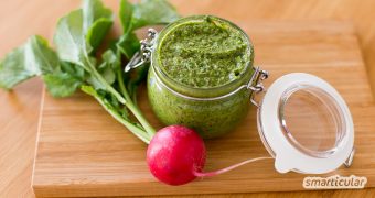 Radieschengrün taugt zu mehr als nur zu Hasenfutter! Mit diesen Rezeptideen zauberst du aus den vitalstoffreichen Blättern eine gesunde und köstliche Mahlzeit.
