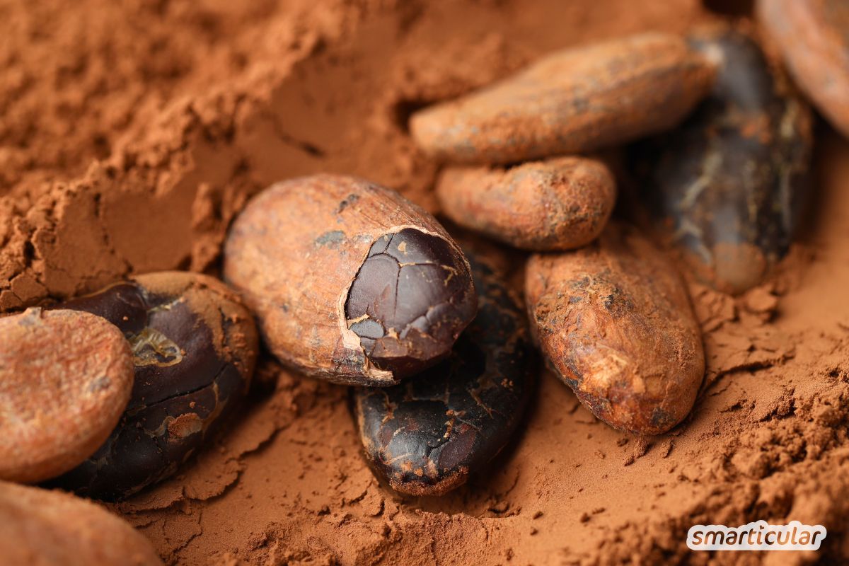 Warum ist Rohkakao gesund? Erfahre alles Wichtige zu Inhaltsstoffen und Wirkung und wie du das leckere Superfood im Alltag genießen kannst.