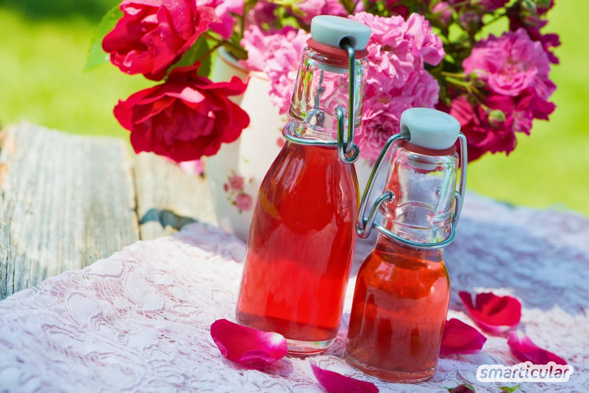 Rosenblütensirup ist eine köstliche Erinnerung an den Sommer. Wie der Sirup für Tee und Süßspeisen zubereitet wird, erfährst du hier.
