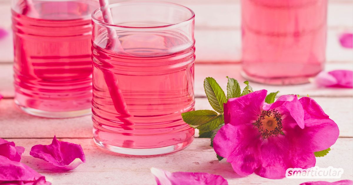 Rosenblütensirup ist eine köstliche Erinnerung an den Sommer. Wie der Sirup für Tee und Süßspeisen zubereitet wird, erfährst du hier.