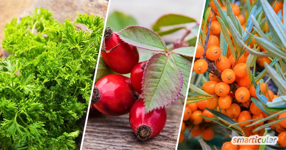 Es müssen nicht immer Orangen sein: Wildobst und Wildkräuter gehören zu den besten Vitamin-C-Quellen und wachsen direkt vor der Haustür.