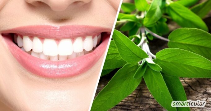 Erfahre, wie Hausmittel gesundes Zahnfleisch stärken können und weshalb Parodontitis immer zahnärztlich behandelt werden muss.