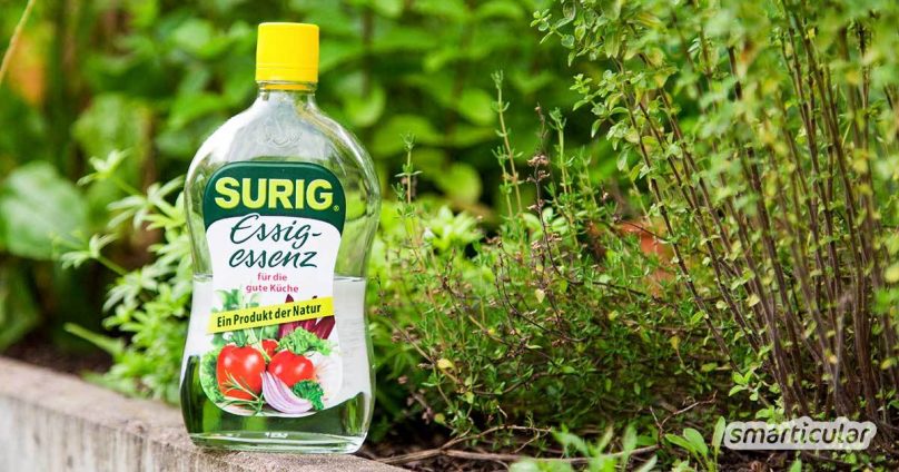 Essigessenz zur Unkrautbekämpfung - so funktioniert es