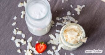 Aus Kokosflocken lässt sich Kokosmus selber machen, das du zu Kokosmilch verarbeiten kannst - spart Geld und Verpackungsmüll!