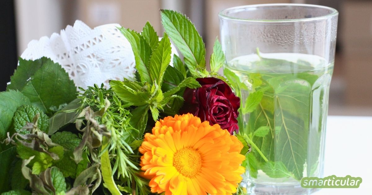 Schnittblumen bereiten nur kurz Freude! Schön anzusehen, lecker und gesund ist ein Teestrauß aus essbaren Blumen und frischen Kräutern!