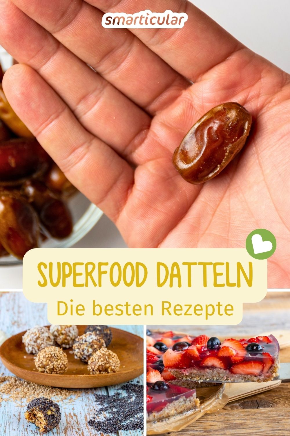 Datteln schmecken köstlich und enthalten zahlreiche Vitalstoffe. Erfahre alles Wichtige und entdecke Rezepte mit dem vielseitigen Superfood.