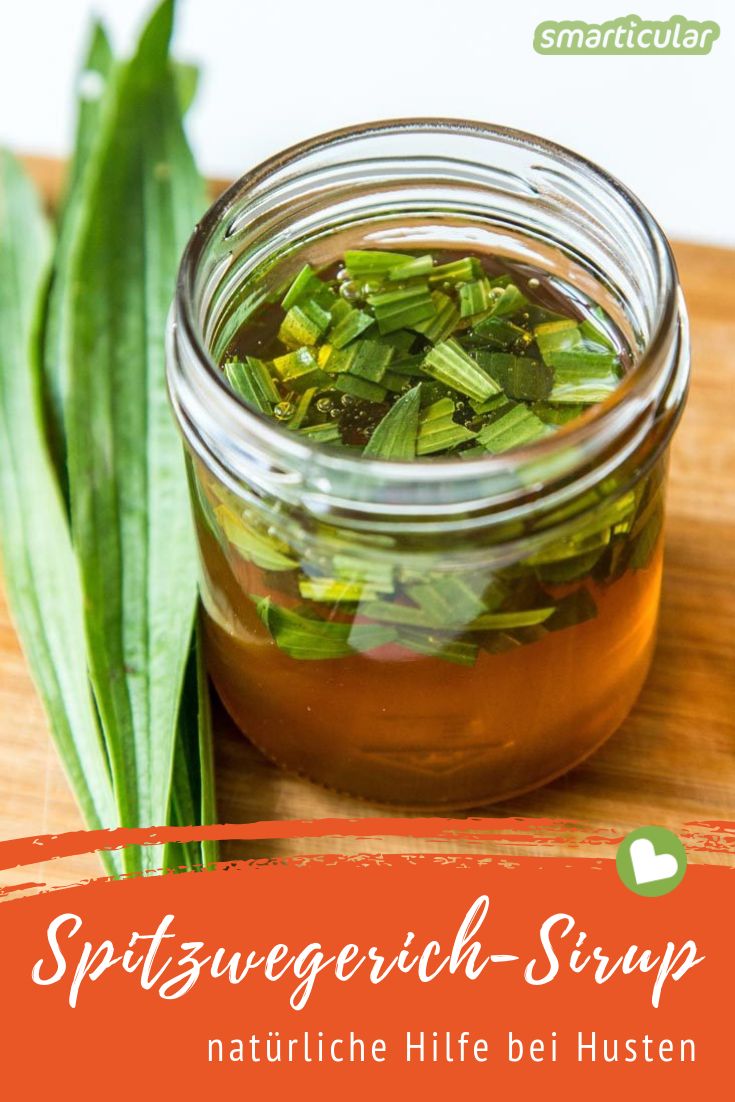 Spitzwegerich gehört zu den klassischen Heilpflanzen bei Atemwegserkrankungen. Aus frischen Blättern und Honig kannst du einen heilsamen Sirup selbst herstellen!