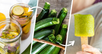 Unsere besten Zucchini-Rezepte sorgen dafür, dass das sommerlich reiche Angebot an Zucchini im Garten oder Supermarkt nicht langweilig wird.