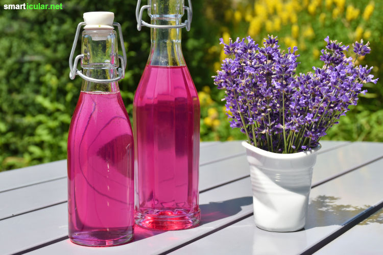 Lavendel gehört zu den vielseitigsten Gartenkräutern. Verwende ihn zum Beispiel für tolle Desserts, Naturkosmetik oder als wohlriechendes Mittel gegen Mücken.