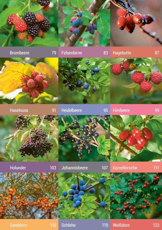 Geh raus! Deine Stadt ist essbar - Leseprobe