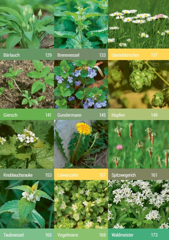 Geh raus! Deine Stadt ist essbar - Leseprobe