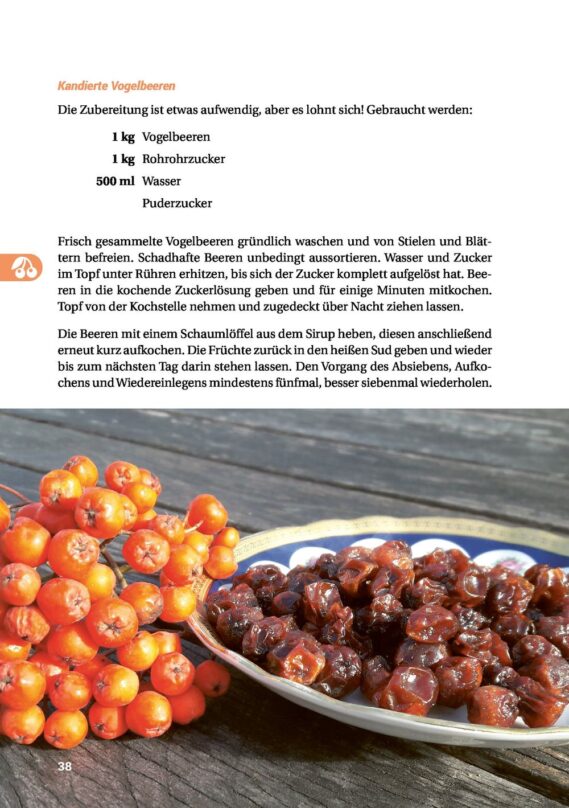 Geh raus! Deine Stadt ist essbar - Leseprobe