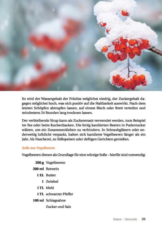 Geh raus! Deine Stadt ist essbar - Leseprobe