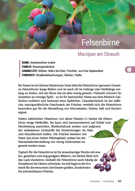 Geh raus! Deine Stadt ist essbar - Leseprobe