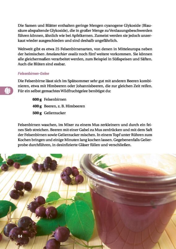 Geh raus! Deine Stadt ist essbar - Leseprobe