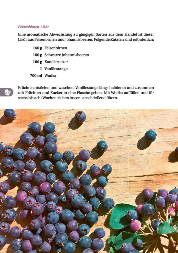 Geh raus! Deine Stadt ist essbar - Leseprobe