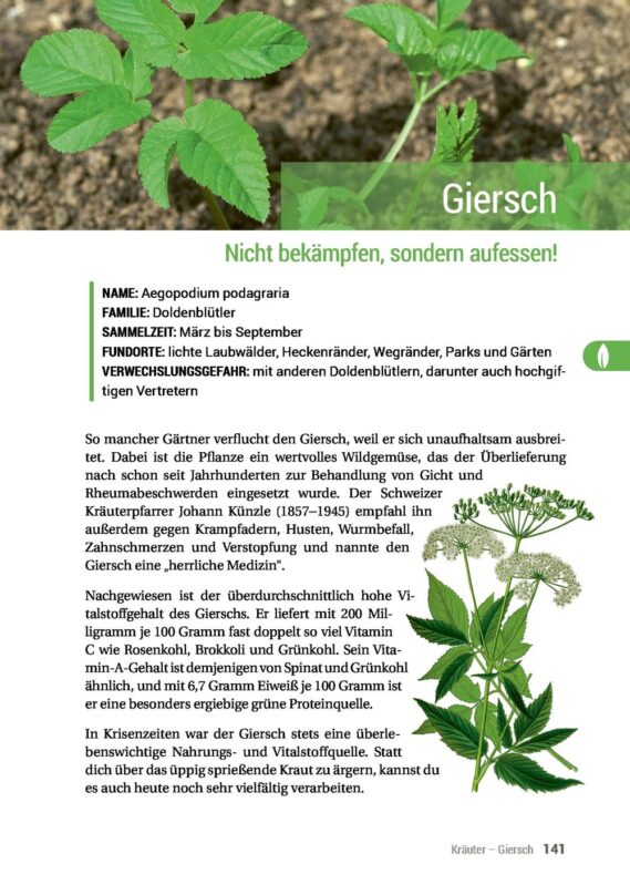 Geh raus! Deine Stadt ist essbar - Leseprobe