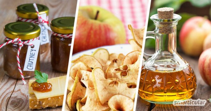 In allen Gärten, in Parks und an Landstraßen reifen die Äpfel - Hier warten zehn abwechslungsreiche Rezepte, um deine Apfelernte haltbar zu machen!