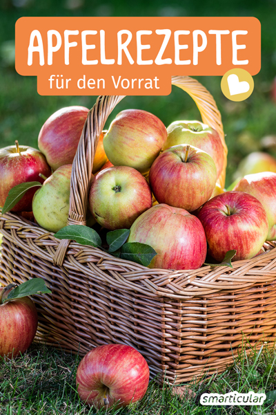 In allen Gärten, in Parks und an Landstraßen reifen die Äpfel - Hier warten zehn abwechslungsreiche Rezepte, um deine Apfelernte haltbar zu machen!