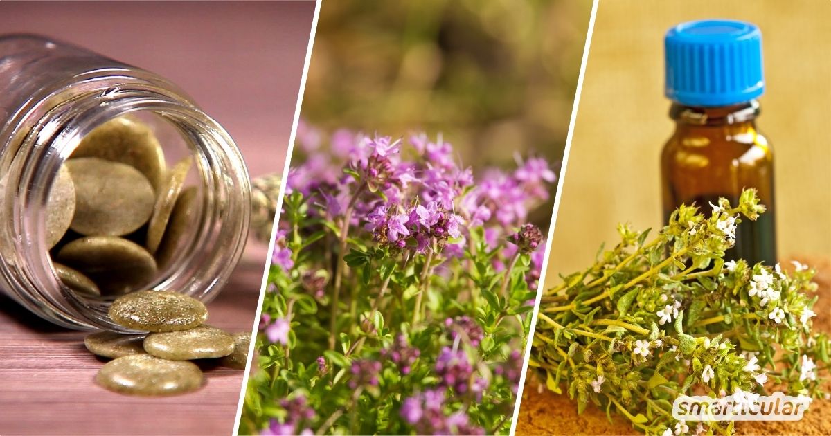 Thymian ist viel mehr als nur ein Küchenkraut! Verwende es mit diesen Tipps als Naturheilmittel, für die Körperpflege und für den Haushalt.