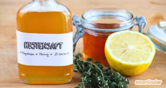 Thymian-Hustensaft wirkt schleimlösend und entzündungshemmend. Das effektive Naturheilmittel kannst du aus drei Zutaten selber machen.