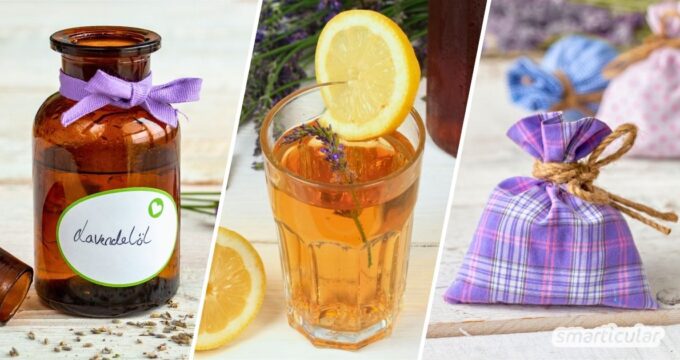 Lavendel gehört zu den vielseitigsten Gartenkräutern. Verwende ihn zum Beispiel für tolle Desserts, Naturkosmetik oder als wohlriechendes Mittel gegen Mücken.