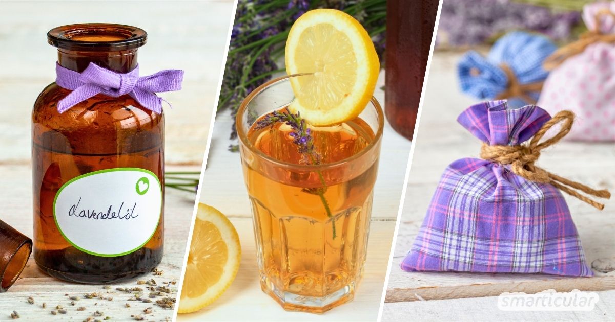 Lavendel gehört zu den vielseitigsten Gartenkräutern. Verwende ihn zum Beispiel für tolle Desserts, Naturkosmetik oder als wohlriechendes Mittel gegen Mücken.