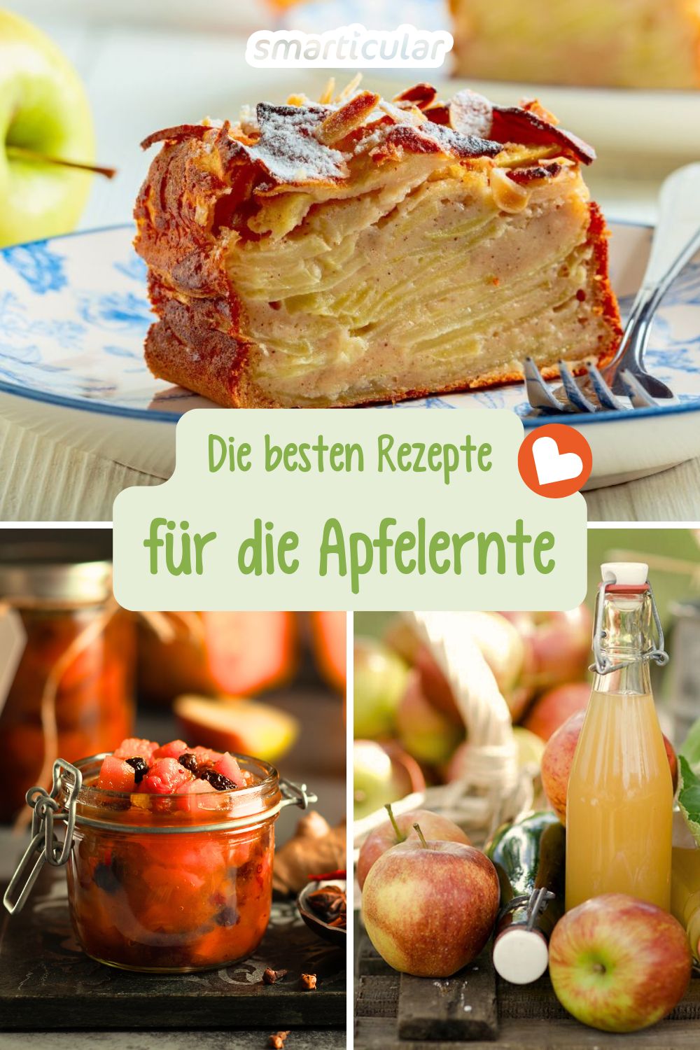 In allen Gärten, in Parks und an Landstraßen reifen die Äpfel - Hier warten zehn abwechslungsreiche Rezepte, um deine Apfelernte haltbar zu machen!